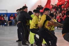 Alianzas-Aniversario-2025-359