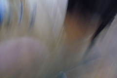 DSC06428