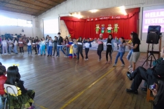 DSC07884