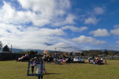 DSC07951
