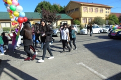 DSC08011