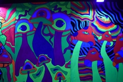 Desfile-de-Moda-LSC-2025-75