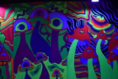 Desfile-de-Moda-LSC-2025-76