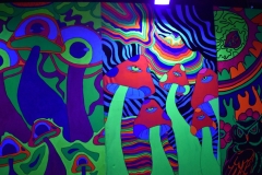 Desfile-de-Moda-LSC-2025-77