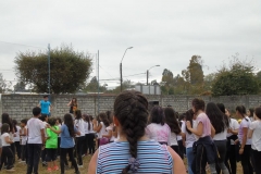 DSC07565