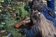 Dia-ecologico_2-10