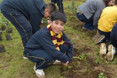 Dia-ecologico_2-102