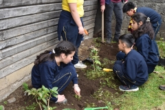 Dia-ecologico_2-104