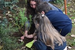 Dia-ecologico_2-11