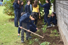 Dia-ecologico_2-113
