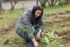 Dia-ecologico_2-114