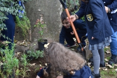 Dia-ecologico_2-12