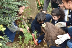 Dia-ecologico_2-14