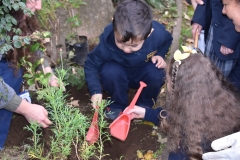Dia-ecologico_2-15