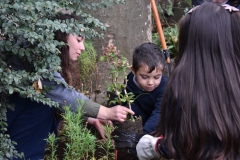 Dia-ecologico_2-16