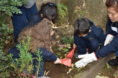 Dia-ecologico_2-18