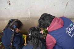 Dia-ecologico_2-25