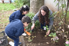 Dia-ecologico_2-26