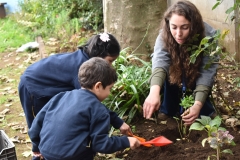 Dia-ecologico_2-27