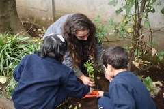 Dia-ecologico_2-28