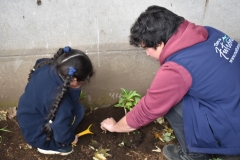 Dia-ecologico_2-29