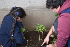 Dia-ecologico_2-30