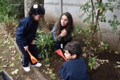 Dia-ecologico_2-31