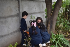 Dia-ecologico_2-32