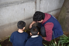 Dia-ecologico_2-33