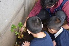 Dia-ecologico_2-34