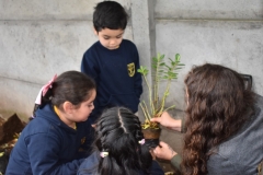 Dia-ecologico_2-35