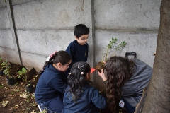 Dia-ecologico_2-36