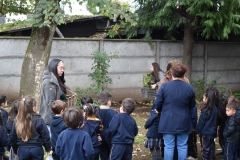 Dia-ecologico_2-4