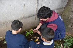 Dia-ecologico_2-40