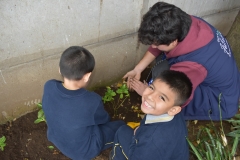 Dia-ecologico_2-41