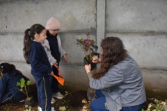 Dia-ecologico_2-42