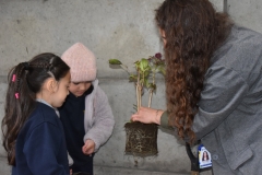 Dia-ecologico_2-44