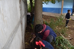 Dia-ecologico_2-46