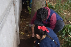 Dia-ecologico_2-47
