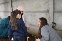 Dia-ecologico_2-50