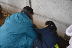 Dia-ecologico_2-51