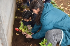 Dia-ecologico_2-52