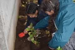 Dia-ecologico_2-53
