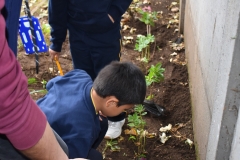 Dia-ecologico_2-54