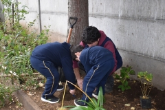 Dia-ecologico_2-55