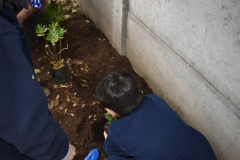 Dia-ecologico_2-56