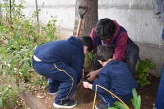 Dia-ecologico_2-57