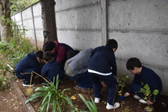 Dia-ecologico_2-58