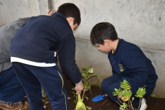 Dia-ecologico_2-59