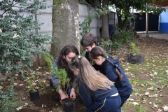 Dia-ecologico_2-6